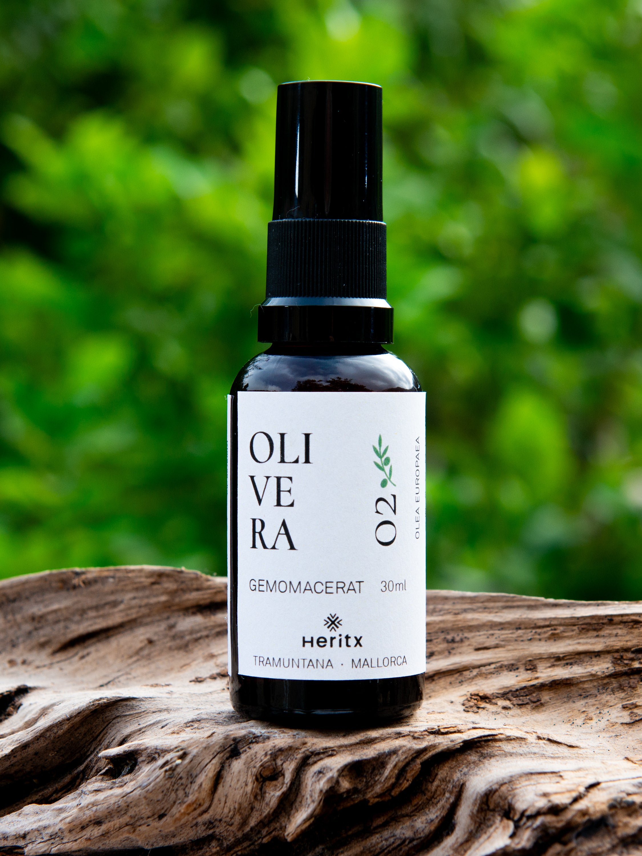 Alle vier Gemmo-Tinkturen